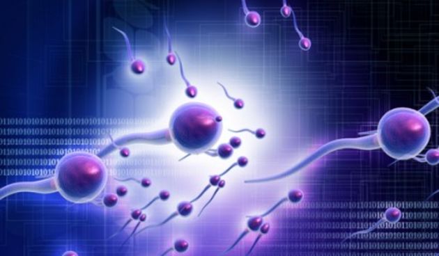 Sperma je stara 600 milijuna godina (Metro-portal.hr )