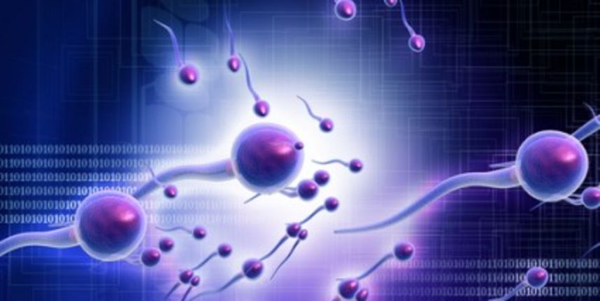 Sperma je stara 600 milijuna godina (Metro-portal.hr ) Sperma je stara 600 milijuna godina (Metro-portal.hr )