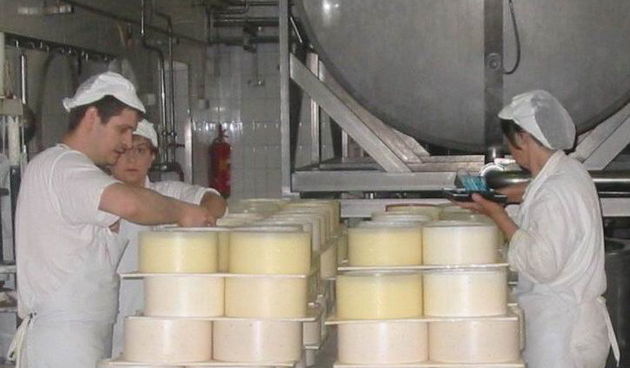 Proizvodnja u Paškoj sirani (Foto: J. Portada)