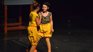 Premijera predstave Ružno pače u izvedbi radionice Donatolina