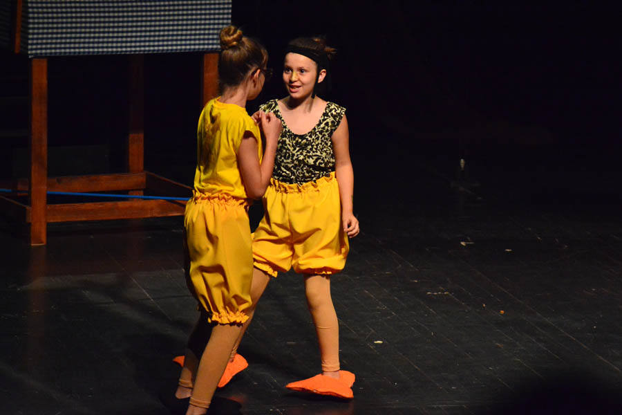 Premijera predstave Ružno pače u izvedbi radionice Donatolina