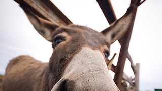 Farma “Dar-mar” (foto:Saša Čuka)