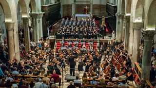 Zadarski komorni orkestar: Beethovenova Deveta simfonija u katedrali Sv. Stošije