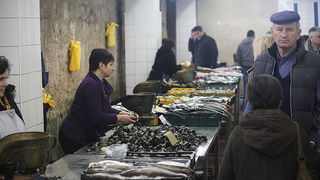 Đir po pešakariji 24. veljače 2012, Foto. Saša Čuka Đir po pešakariji 24. veljače 2012, Foto. Saša Čuka