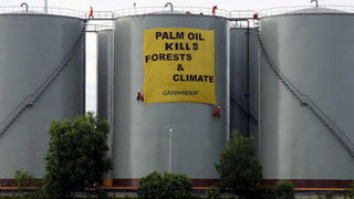 Image 1195799 (auto) Image 1195799 (auto)