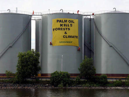 Image 1195799 (auto) Image 1195799 (auto)