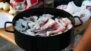 Tunuara 2016 – parada mažoretkinja, kuhanje brudeta & defile ribarica. Foto: Marija Cvetković