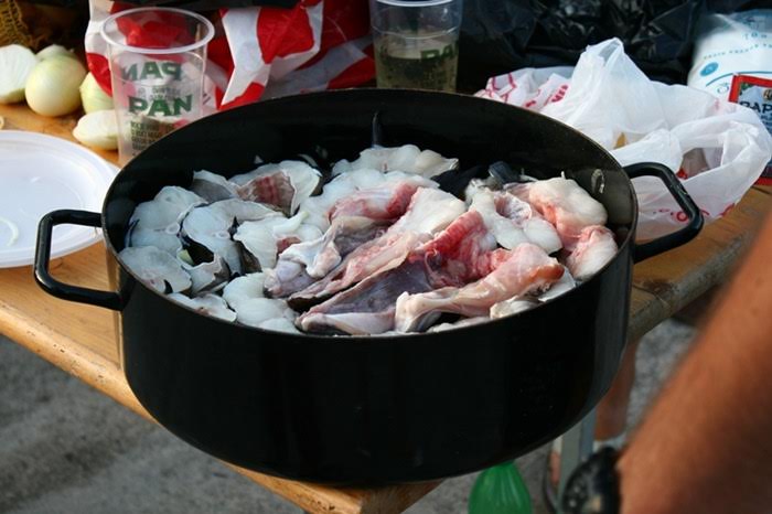 Tunuara 2016 – parada mažoretkinja, kuhanje brudeta & defile ribarica. Foto: Marija Cvetković