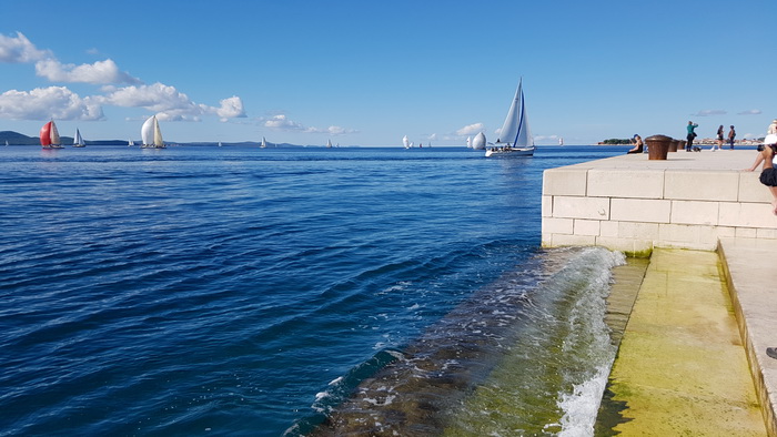 Zadarska Koka 2016. 22. listopada 2016. Foto: Mladen Malik Zadarska Koka 2016. 22. listopada 2016. Foto: Mladen Malik