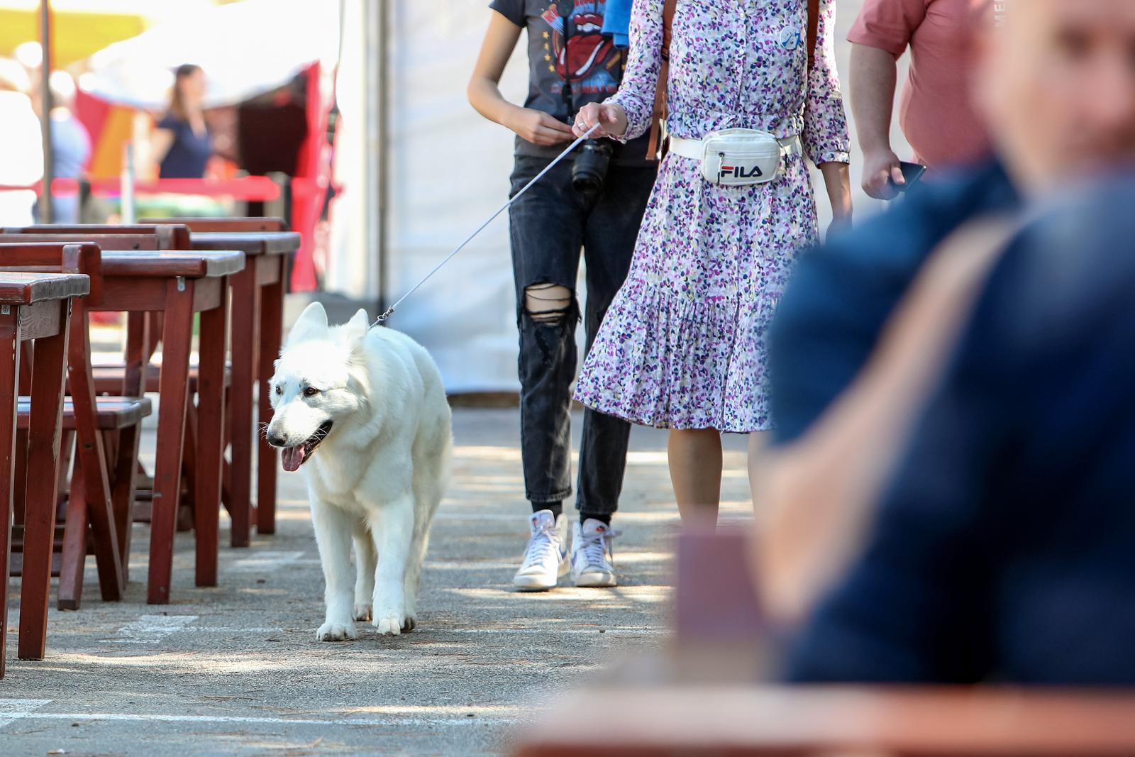 Međunarodna izložba pasa CACIB 2023