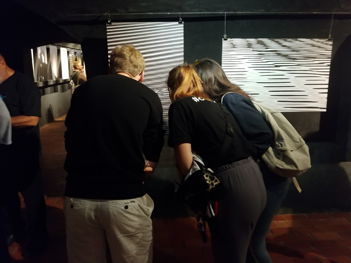 U Ukrajini otvorena izložba Aleksandra Bonačića