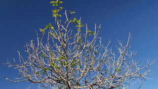 Đir po otoku Pagu – Šimuni, Foto: Leonard Kvarantan