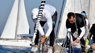 Sva lica “Zadarske koke” Sva lica “Zadarske koke”