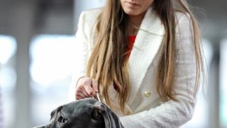 Izložba pasa na Zagrebačkom velesajmu Izložba pasa na Zagrebačkom velesajmu