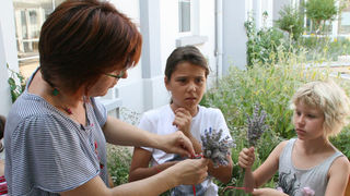 GKZD: Dječja radionica izrade stručaka i jastučića od lavande, Foto: Lucija Juravić