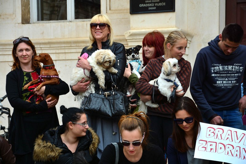 Skup podrške za NO KILL skloništa za životinje,  foto Iva Perinčić