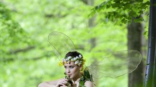 Misice kao šumske vile, koja ima ljepša krila?