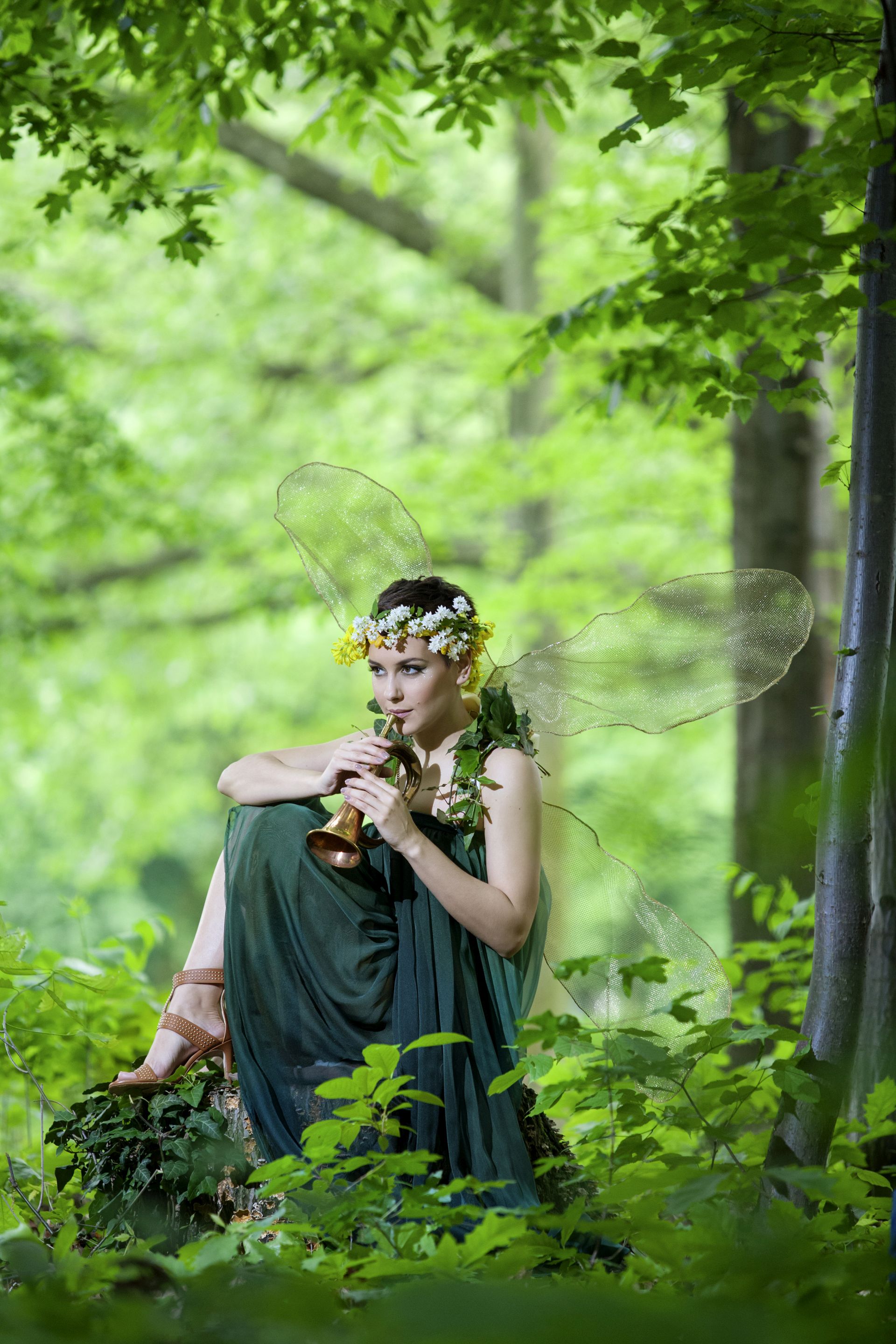 Misice kao šumske vile, koja ima ljepša krila?