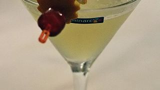 Havana Cup 2009. – 15. regionalno natjecanje barmena (foto: Marin Gospić)