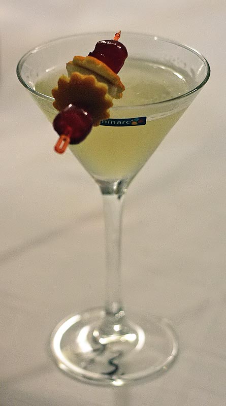 Havana Cup 2009. – 15. regionalno natjecanje barmena (foto: Marin Gospić)