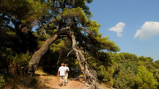 Pustinja Blaca, foto: czk-brac.hr