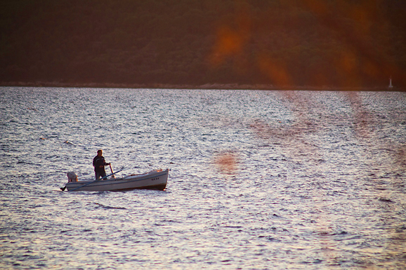 Kolovare  (foto:Saša Čuka)