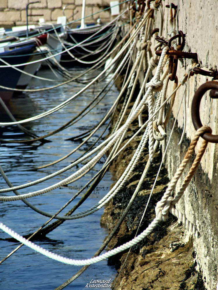 Đir po Vinjercu, Foto: Leonard Kvarantan
