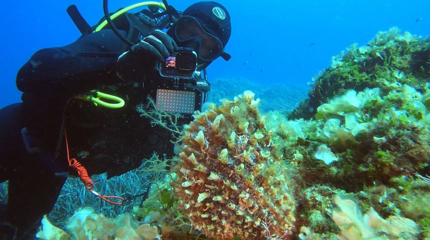 Dok su tragali za živim periskama, 60 ronioca izvuklo tone otpada!