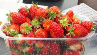 Trg Petra Zoranića: Učenici i profesori PPV Stanka Ožanića predstavili rezultate projekta “Primjena inovativnih metoda podučavanja i komunikacije sukladno smjernicama ruralnog razvoja”