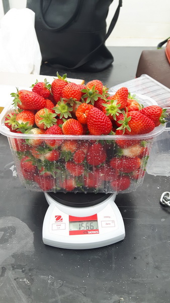 Trg Petra Zoranića: Učenici i profesori PPV Stanka Ožanića predstavili rezultate projekta “Primjena inovativnih metoda podučavanja i komunikacije sukladno smjernicama ruralnog razvoja”