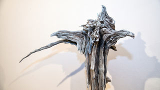 “Stađuni”: Izložba Karin Grenc u Biogradu na moru “Stađuni”: Izložba Karin Grenc u Biogradu na moru