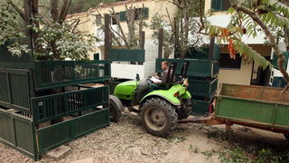 Zadar, Zaton, 091012.
U Zatonu je Turisthotel poceo rusiti stare apartrmane i uredjivati nove kapacitete za iducu turisticku sezonu. Sruseno ce biti ukupno 135 apartmana, a isto toliko novih apartmana biti ce izgradjeno do iduce sezone na razini 4 zvjezdi Zadar, Zaton, 091012.
U Zatonu je Turisthotel poceo rusiti stare apartrmane i uredjivati nove kapacitete za iducu turisticku sezonu. Sruseno ce biti ukupno 135 apartmana, a isto toliko novih apartmana biti ce izgradjeno do iduce sezone na razini 4 zvjezdi