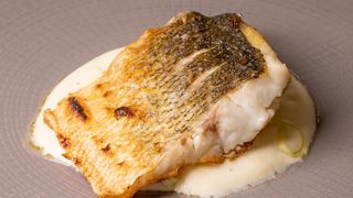 Elitno mjesto ribljih delicija – zadarski restoran Foša