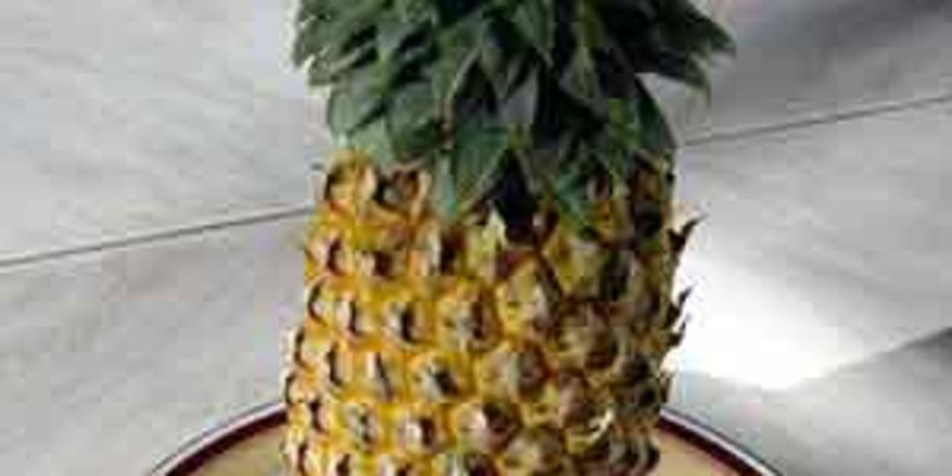 Ananas Ananas