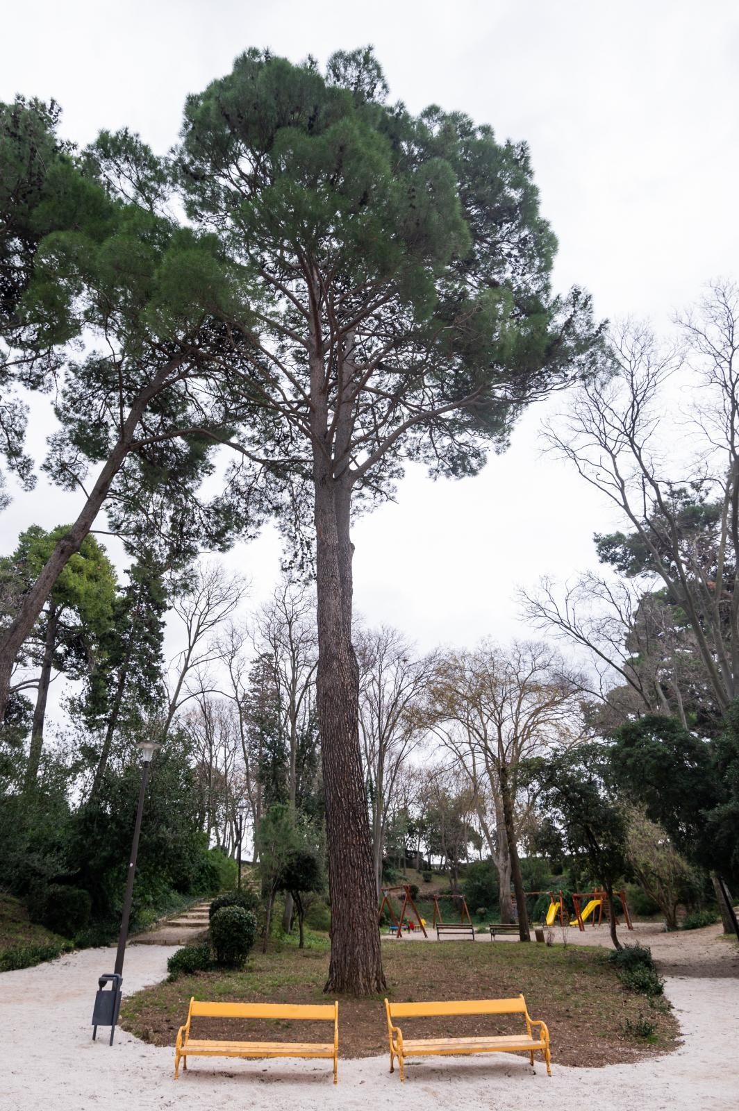 Đir po Perivoju Vladimira Nazora