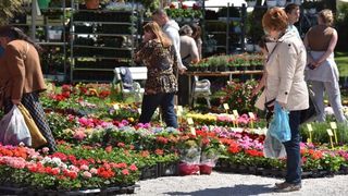 Svečano otvorena 2. Vrtna izložba “Cvijet Zadra” u organizaciji tvrtke Nasadi d.o.o. Foto: Dino Stanin/PIXSELL