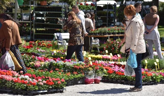 Svečano otvorena 2. Vrtna izložba “Cvijet Zadra” u organizaciji tvrtke Nasadi d.o.o. Foto: Dino Stanin/PIXSELL