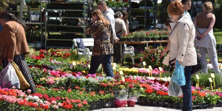 Svečano otvorena 2. Vrtna izložba “Cvijet Zadra” u organizaciji tvrtke Nasadi d.o.o. Foto: Dino Stanin/PIXSELL Svečano otvorena 2. Vrtna izložba “Cvijet Zadra” u organizaciji tvrtke Nasadi d.o.o. Foto: Dino Stanin/PIXSELL