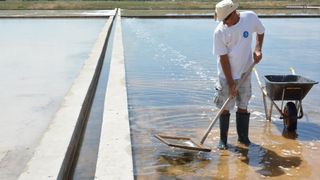 Nin – Povijesni gradic Nin pokraj Zadra za svoju prepoznatljivost ima nadaleko poznatu i najstariju hrvatsku solanu. Pod geslom “Prica o soli…” i dan danas se sol proizvodi na tradicionalan nacin. Photo: Damir Spehar/PIXSELL Nin – Povijesni gradic Nin pokraj Zadra za svoju prepoznatljivost ima nadaleko poznatu i najstariju hrvatsku solanu. Pod geslom “Prica o soli…” i dan danas se sol proizvodi na tradicionalan nacin. Photo: Damir Spehar/PIXSELL