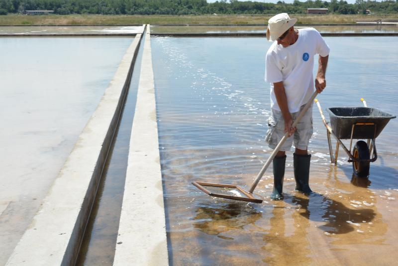 Nin – Povijesni gradic Nin pokraj Zadra za svoju prepoznatljivost ima nadaleko poznatu i najstariju hrvatsku solanu. Pod geslom “Prica o soli…” i dan danas se sol proizvodi na tradicionalan nacin. Photo: Damir Spehar/PIXSELL Nin – Povijesni gradic Nin pokraj Zadra za svoju prepoznatljivost ima nadaleko poznatu i najstariju hrvatsku solanu. Pod geslom “Prica o soli…” i dan danas se sol proizvodi na tradicionalan nacin. Photo: Damir Spehar/PIXSELL