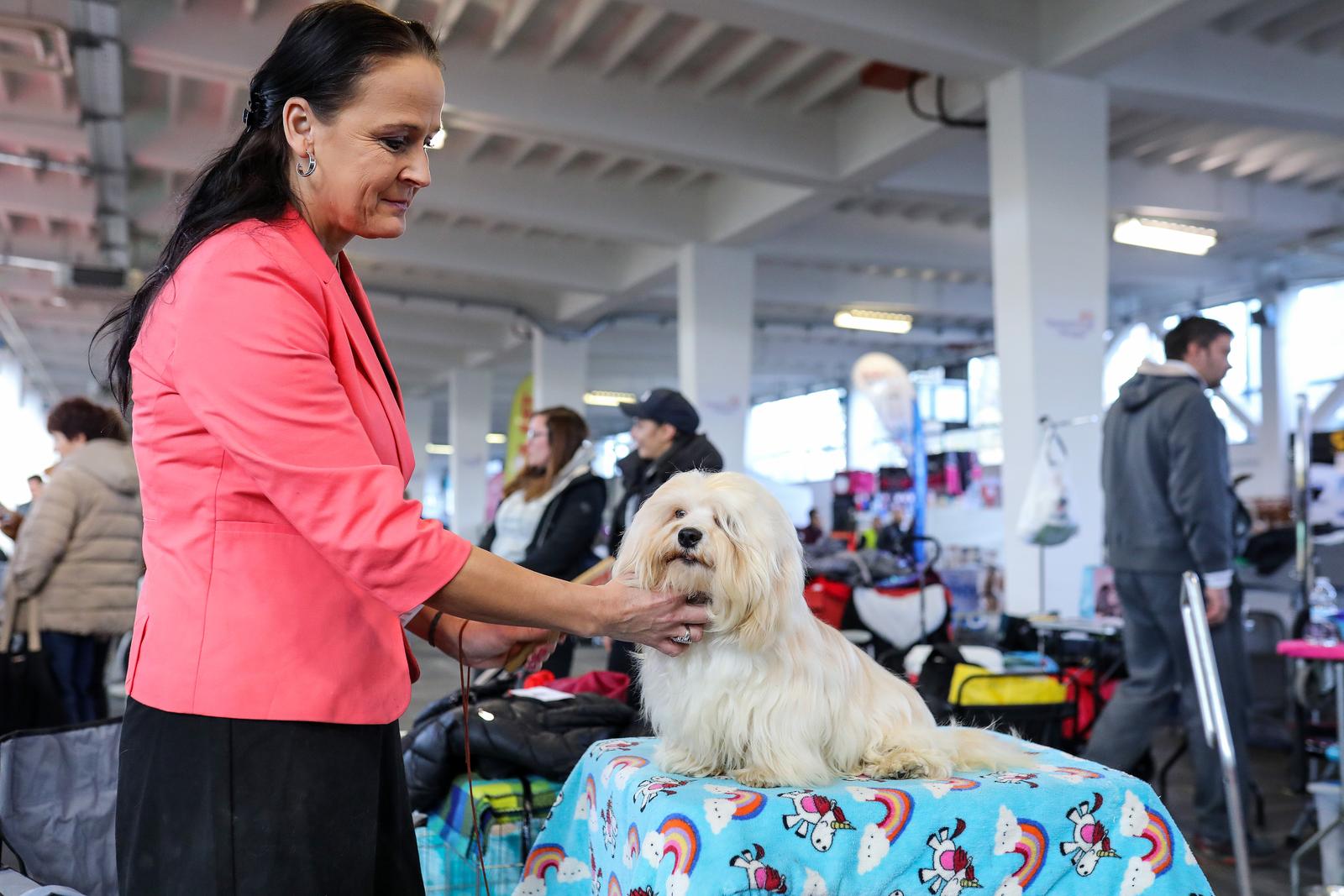 Izložba pasa na Zagrebačkom velesajmu Izložba pasa na Zagrebačkom velesajmu