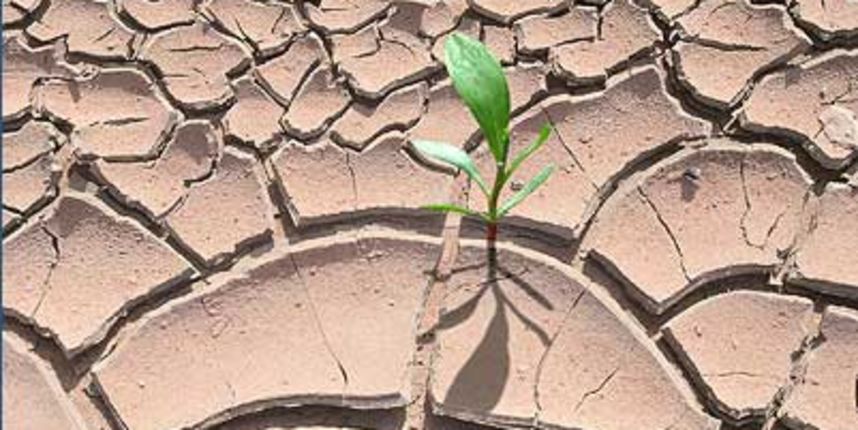 Suša (ilustracija) Suša (ilustracija)