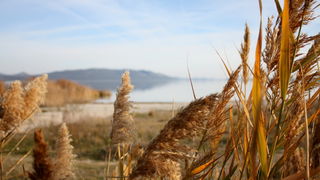 Đir uz Vransko jezero, Foto: Iva Perinić Đir uz Vransko jezero, Foto: Iva Perinić