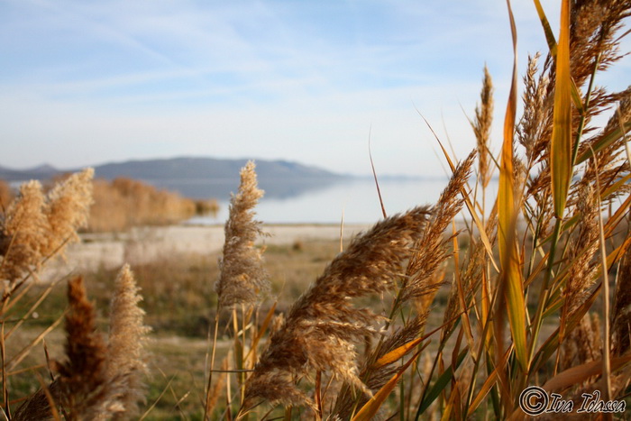 Đir uz Vransko jezero, Foto: Iva Perinić Đir uz Vransko jezero, Foto: Iva Perinić