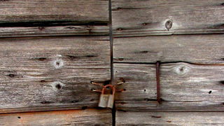 Image 1190451 (auto)