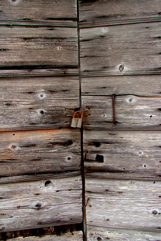 Image 1190451 (auto)