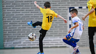 1.Cateleya indoor Cup 1.Cateleya indoor Cup