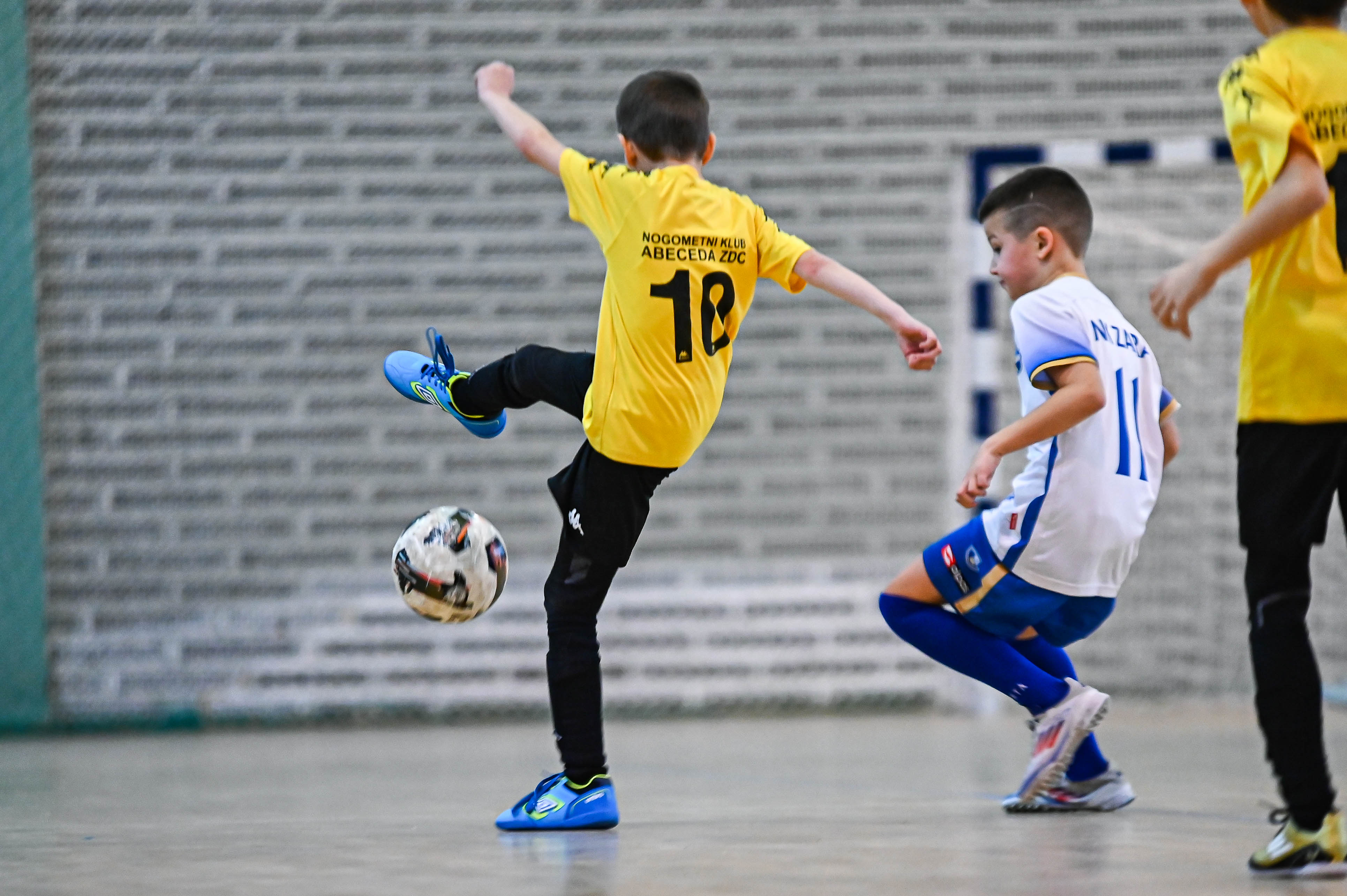 1.Cateleya indoor Cup 1.Cateleya indoor Cup