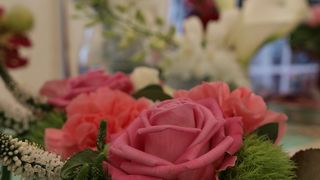 Sv. Filip i Jakov – 10. Dani cvijeća, 24. i 25. travnja 2010. (Foto: Vedran Penga)