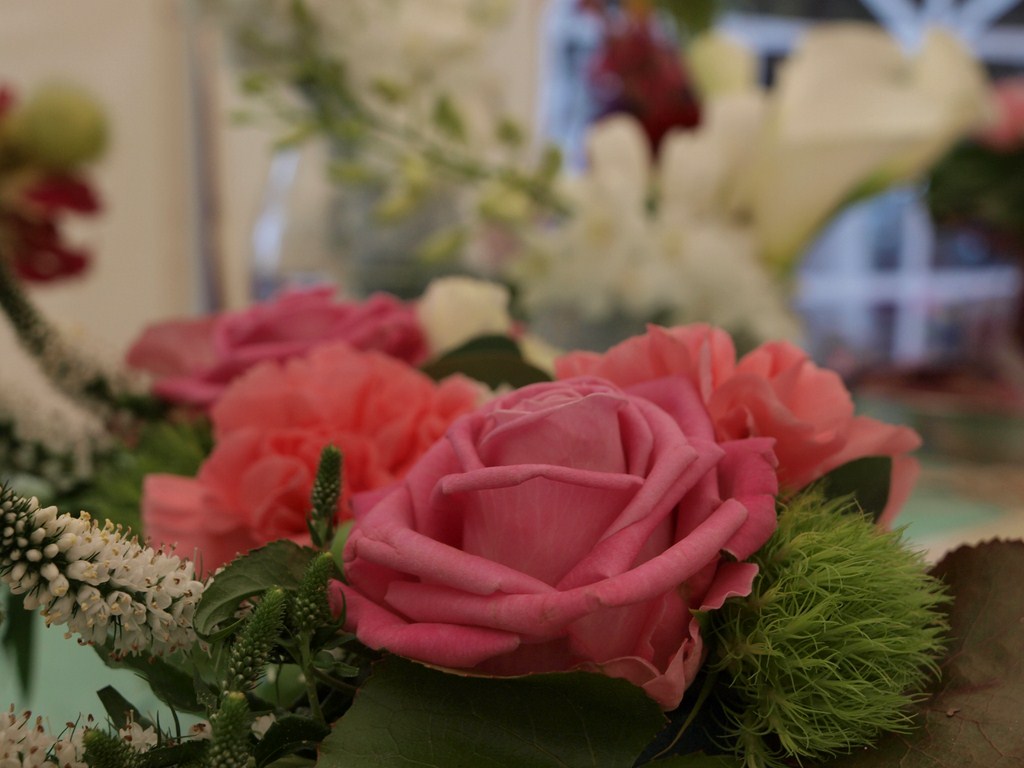 Sv. Filip i Jakov – 10. Dani cvijeća, 24. i 25. travnja 2010. (Foto: Vedran Penga)